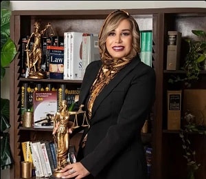 بهترین وکیل خانواده در تهران: مینا نیسی