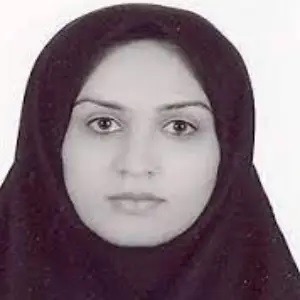بهترین وکیل مرزداران: راضیه اسلامی نسب