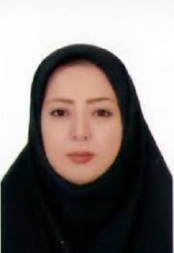 بهترین وکیل ثبت اختراع در تهران: سمیه فتحی